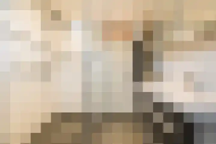 Van de Woestijneheem 25 Hillegom thumbnail 22