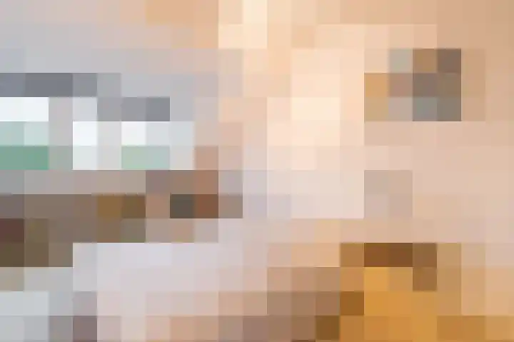 Van de Woestijneheem 25 Hillegom thumbnail 30