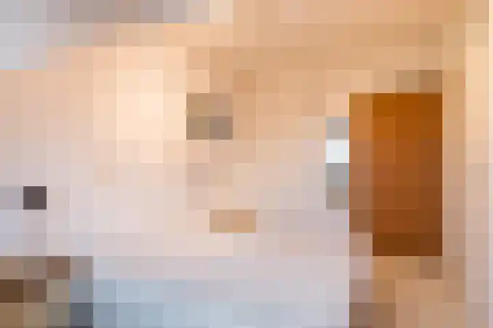 Van de Woestijneheem 25 Hillegom thumbnail 32