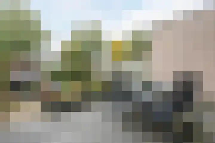 Van de Woestijneheem 25 Hillegom thumbnail 34