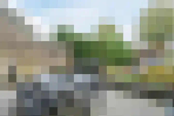 Van de Woestijneheem 25 Hillegom thumbnail 35