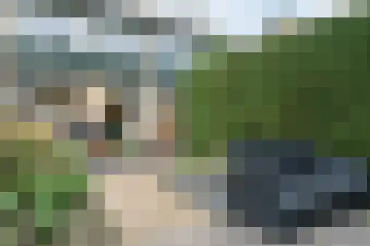 Van de Woestijneheem 25 Hillegom thumbnail 36