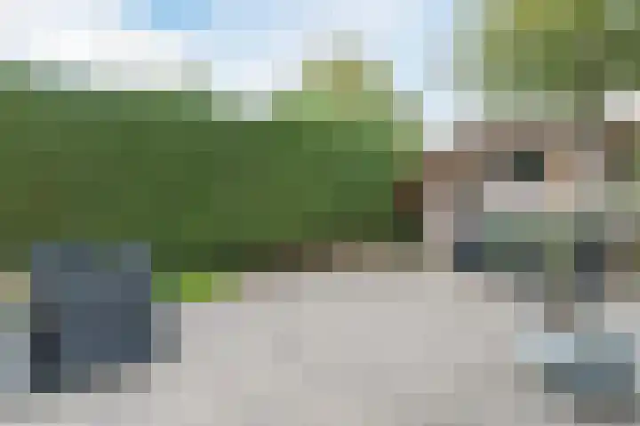 Van de Woestijneheem 25 Hillegom thumbnail 37