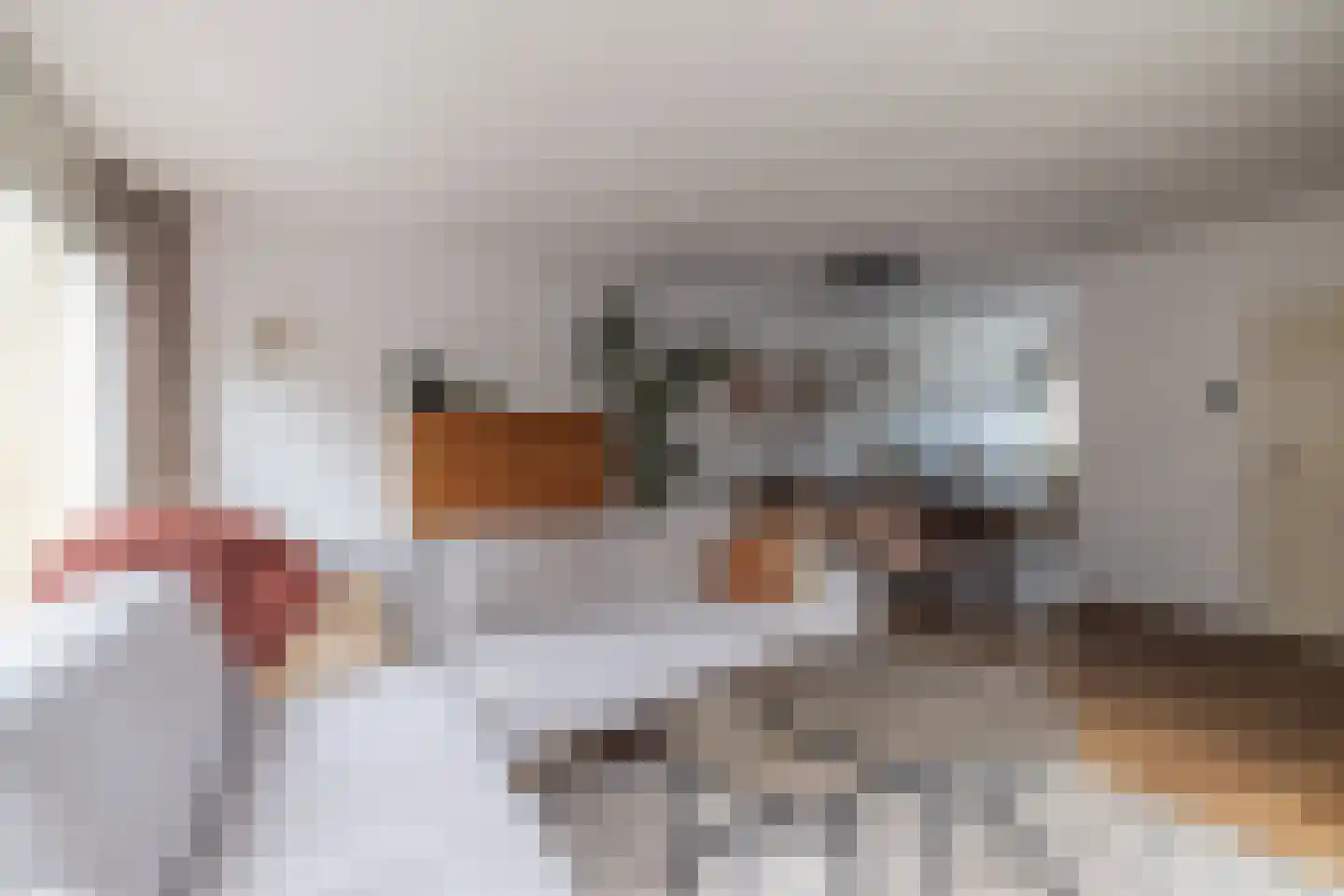 Van de Woestijneheem 35 Hillegom thumbnail 11