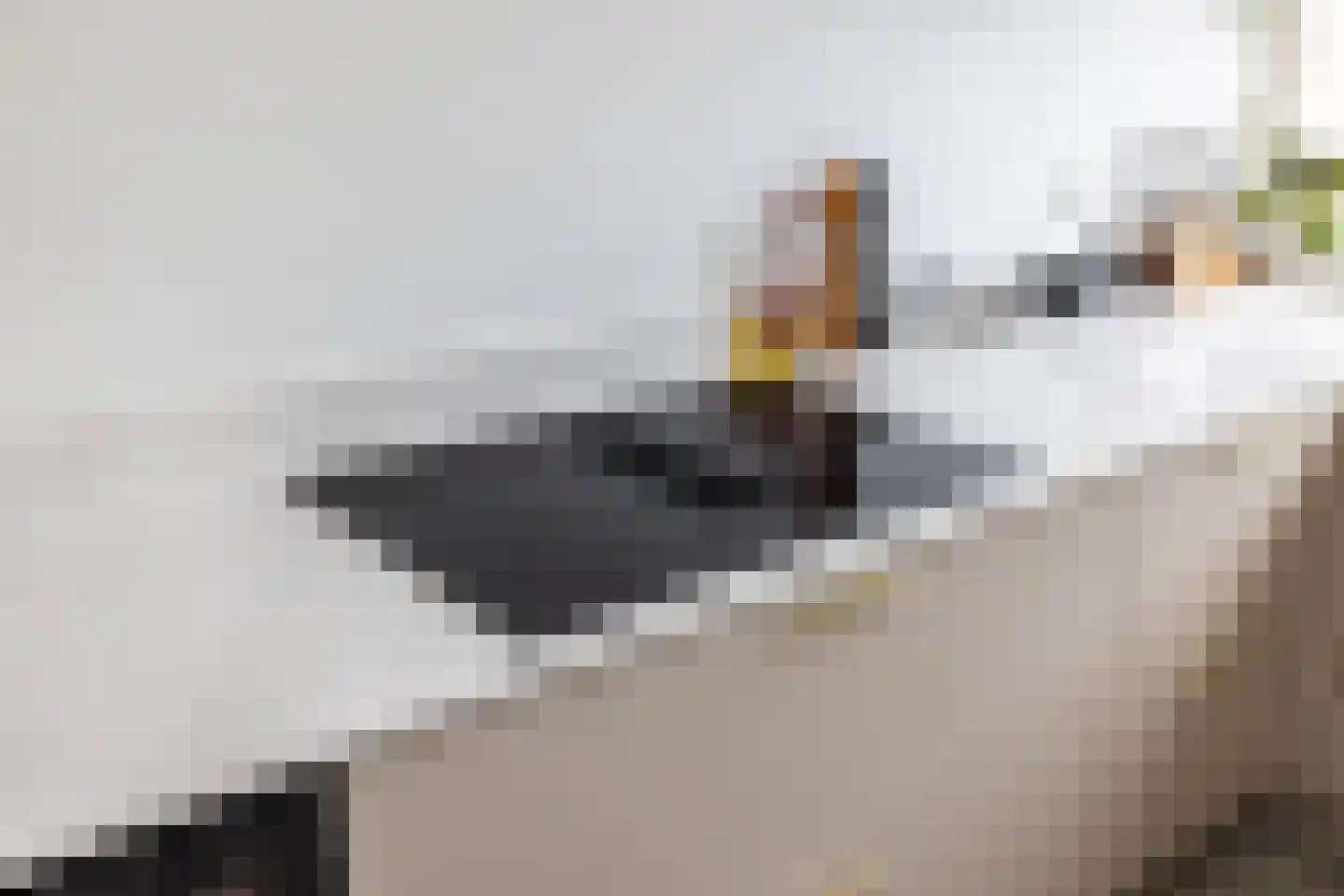 Van de Woestijneheem 35 Hillegom thumbnail 19