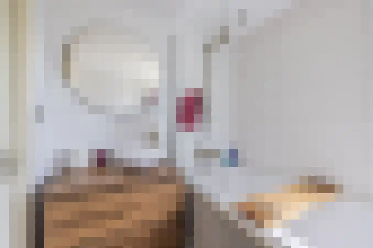 Van de Woestijneheem 35 Hillegom thumbnail 21