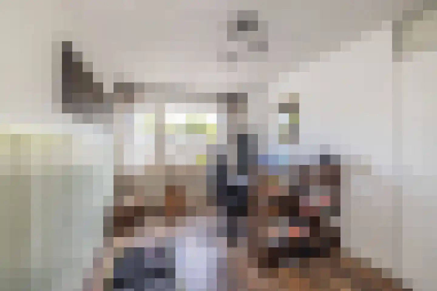 Van de Woestijneheem 35 Hillegom thumbnail 26