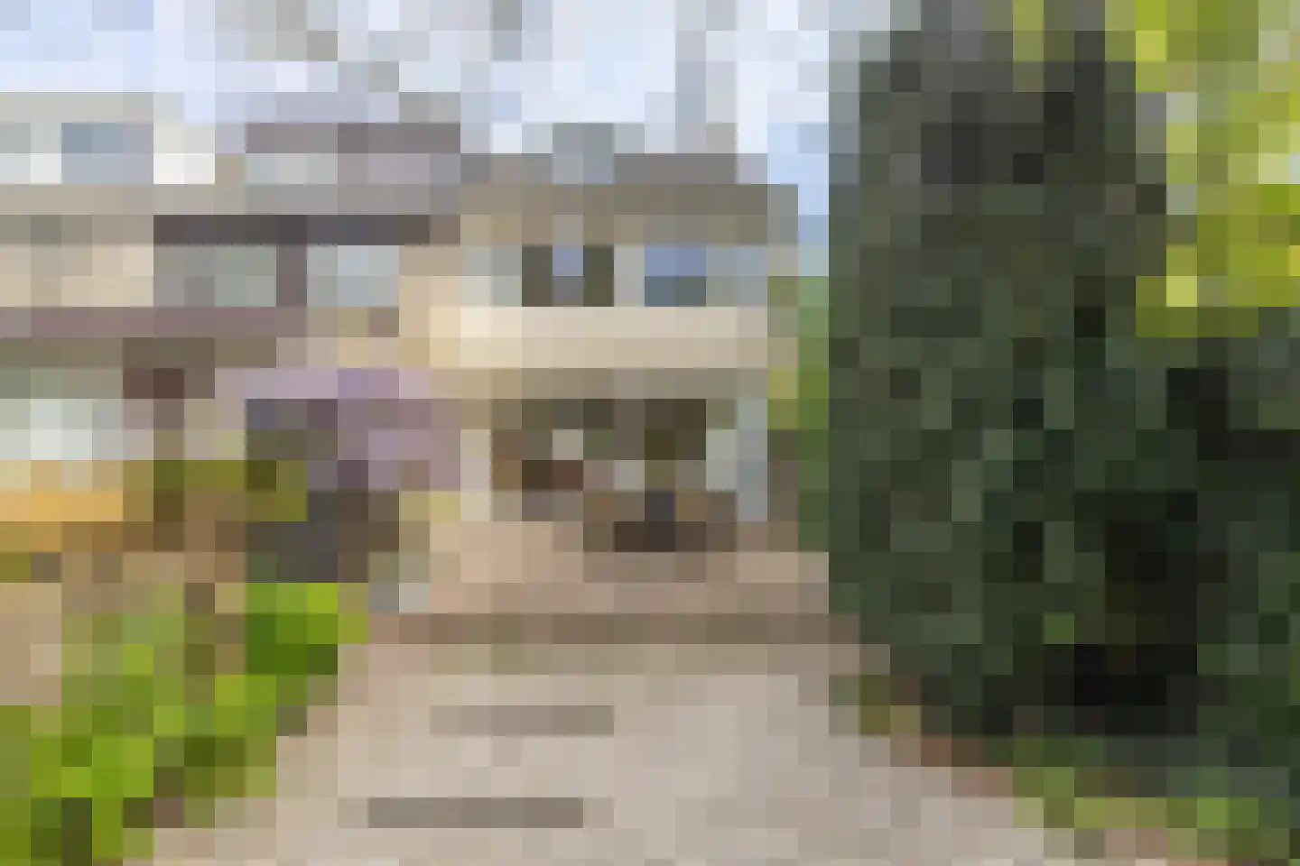 Van de Woestijneheem 35 Hillegom thumbnail 30