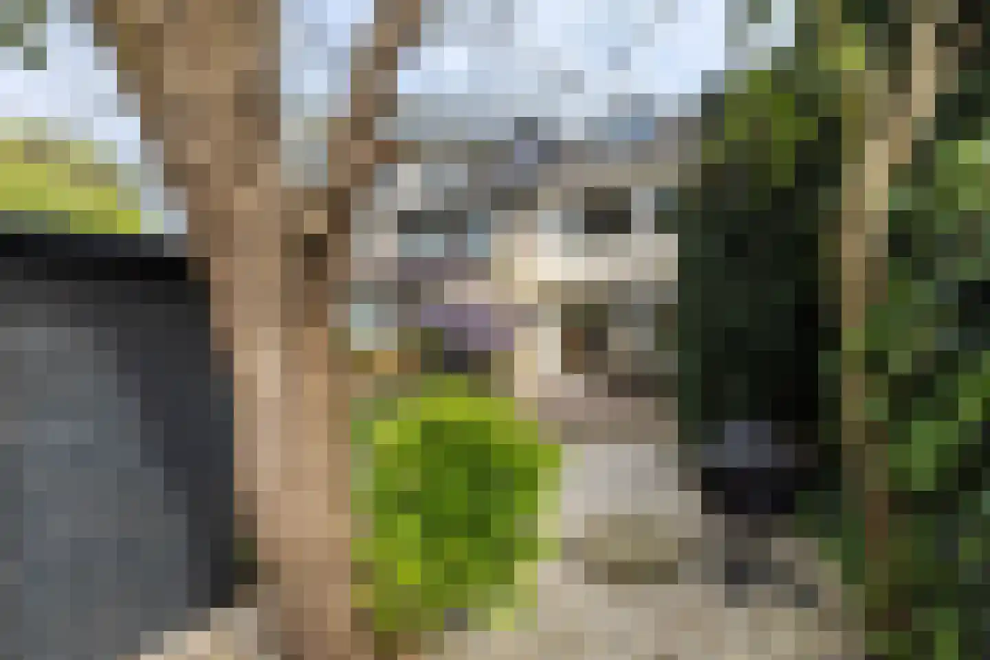 Van de Woestijneheem 35 Hillegom thumbnail 32