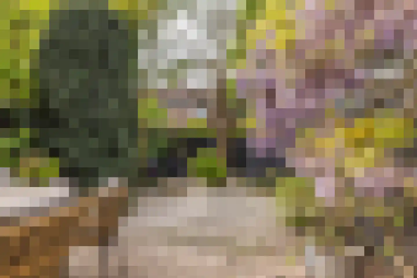 Van de Woestijneheem 35 Hillegom thumbnail 33