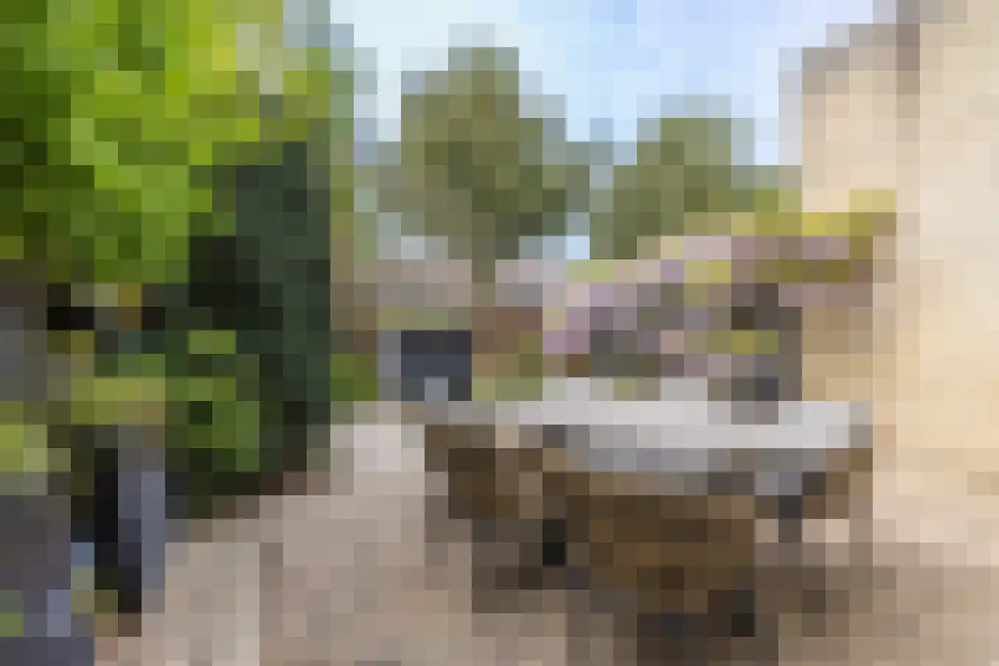 Van de Woestijneheem 35 Hillegom thumbnail 34