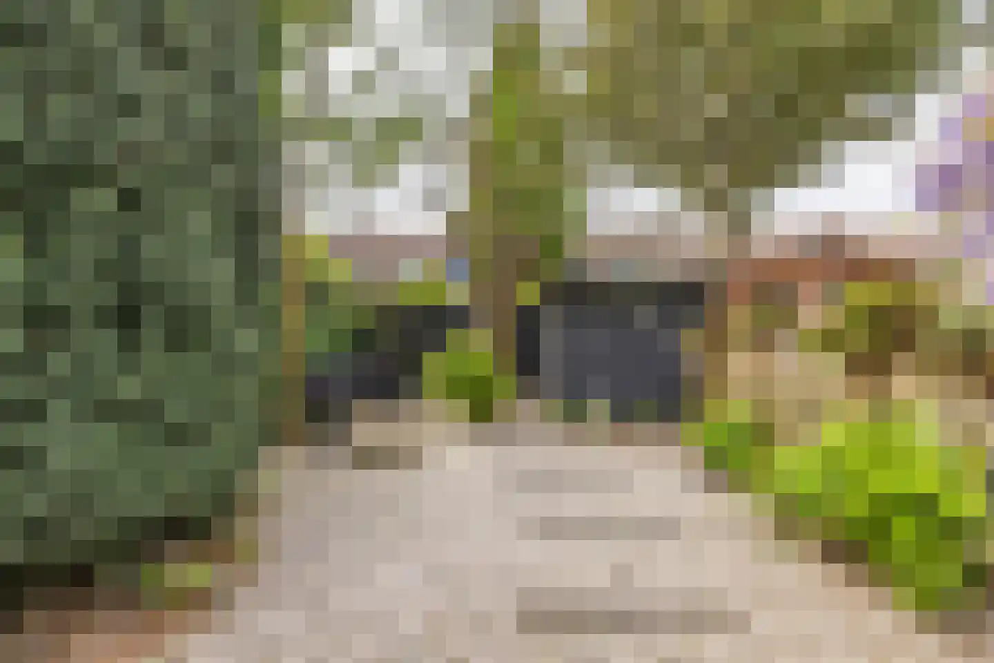 Van de Woestijneheem 35 Hillegom thumbnail 35