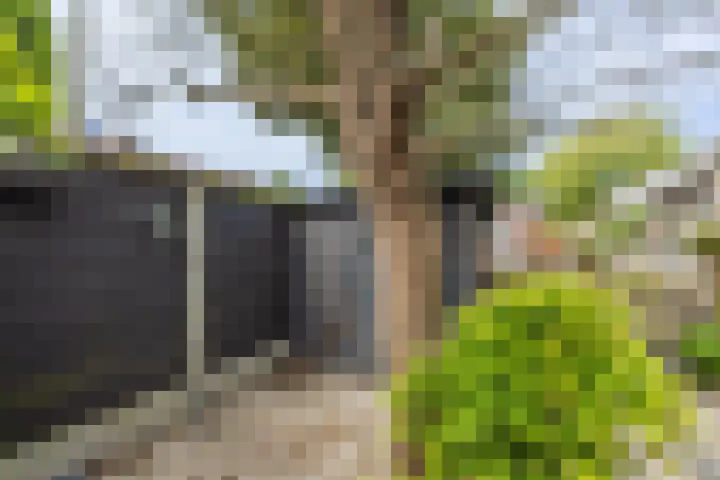 Van de Woestijneheem 35 Hillegom thumbnail 36