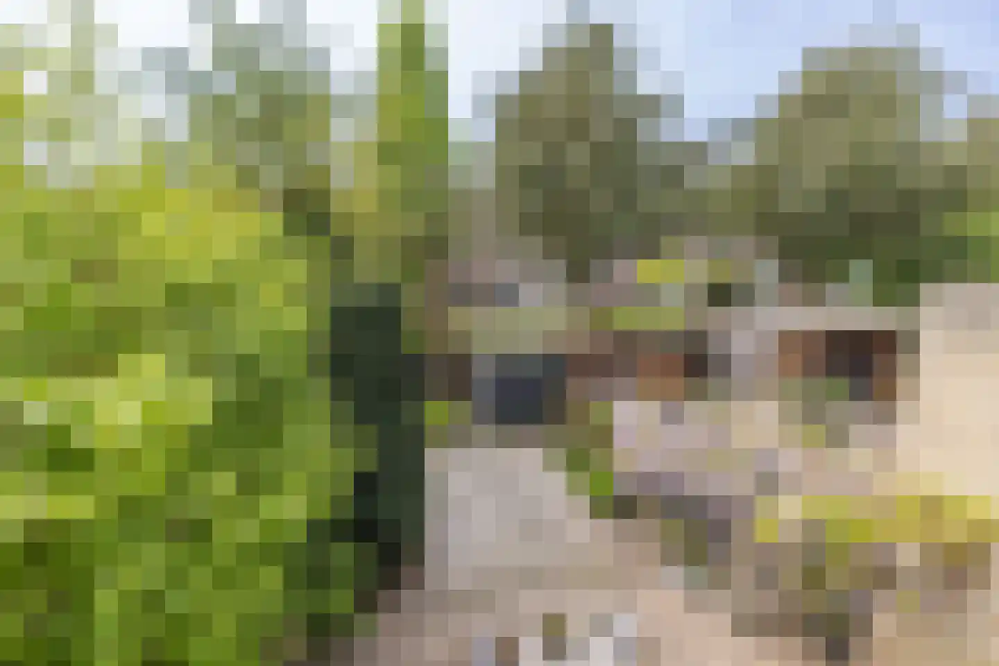 Van de Woestijneheem 35 Hillegom thumbnail 38