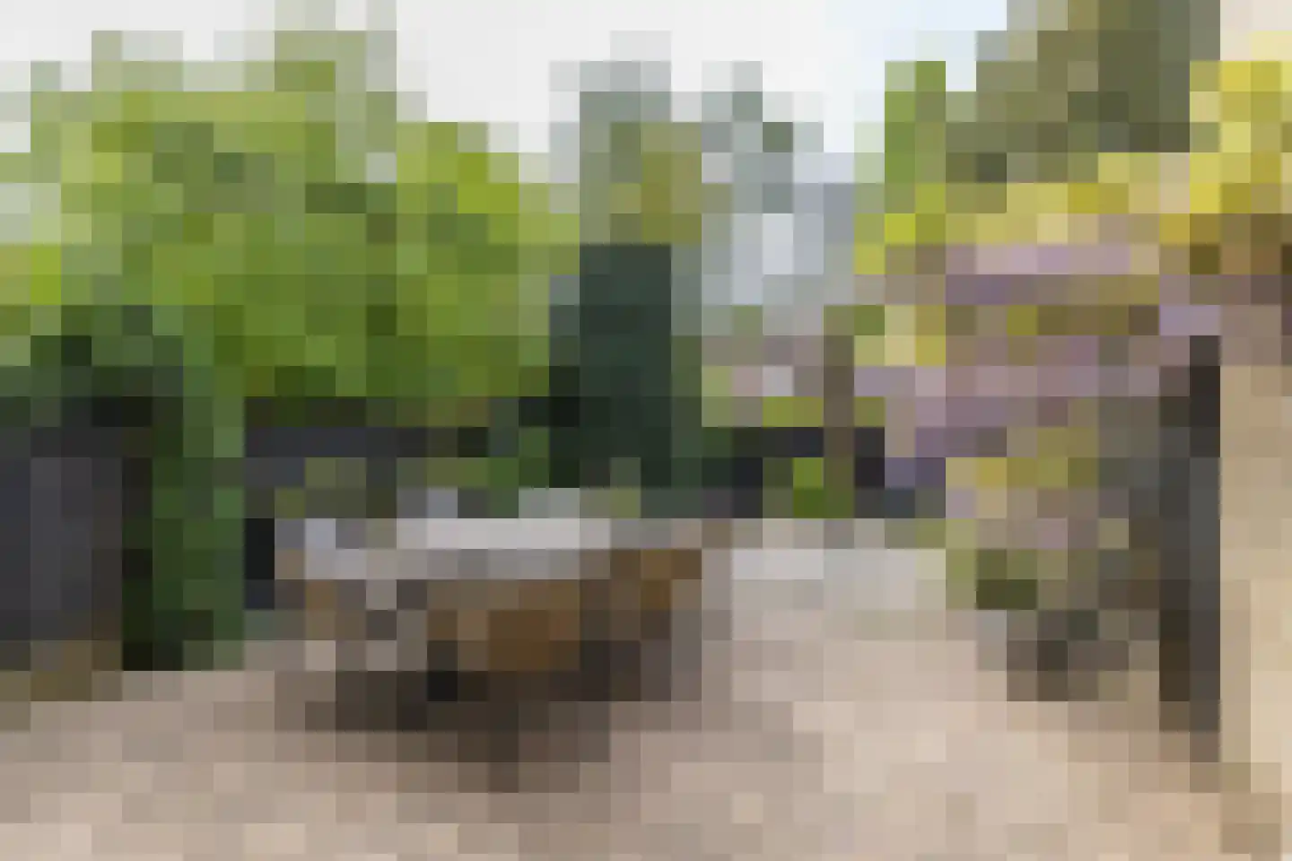 Van de Woestijneheem 35 Hillegom thumbnail 4