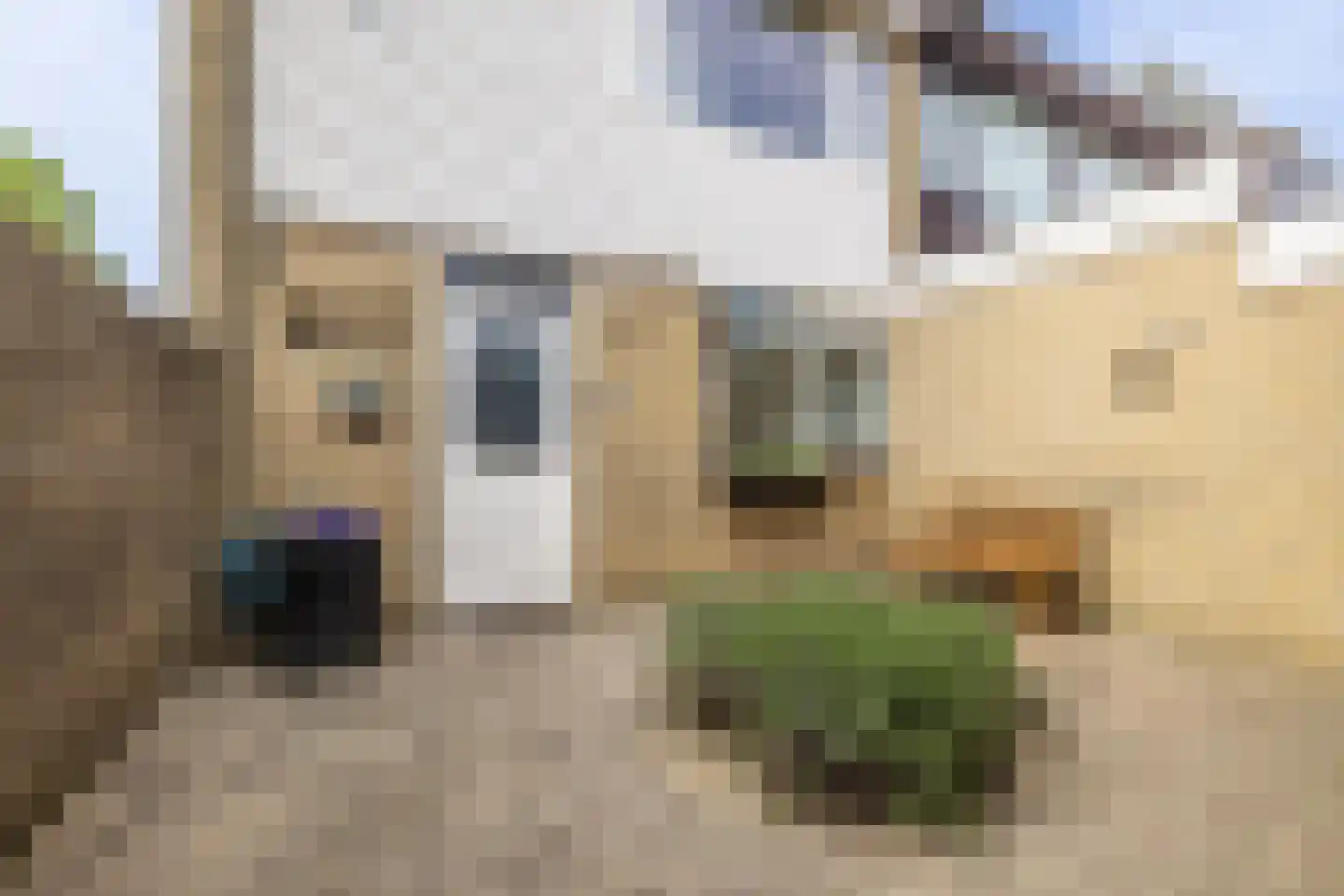 Van de Woestijneheem 35 Hillegom thumbnail 8