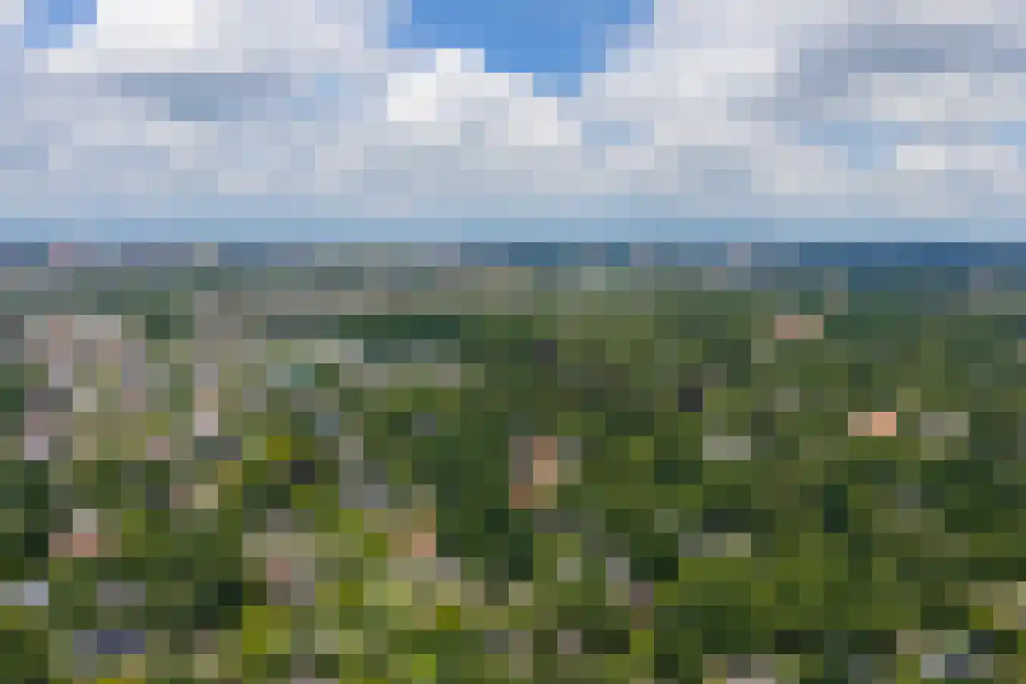 Van de Woestijnelaan 1 Groningen thumbnail 106