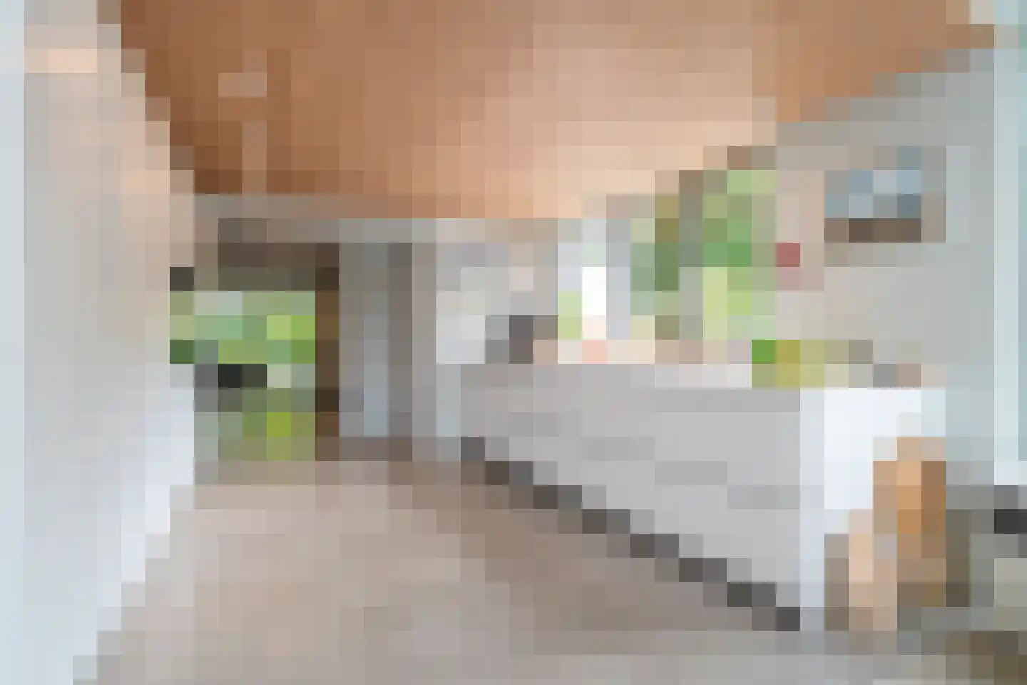 Van de Woestijnelaan 1 Groningen thumbnail 24