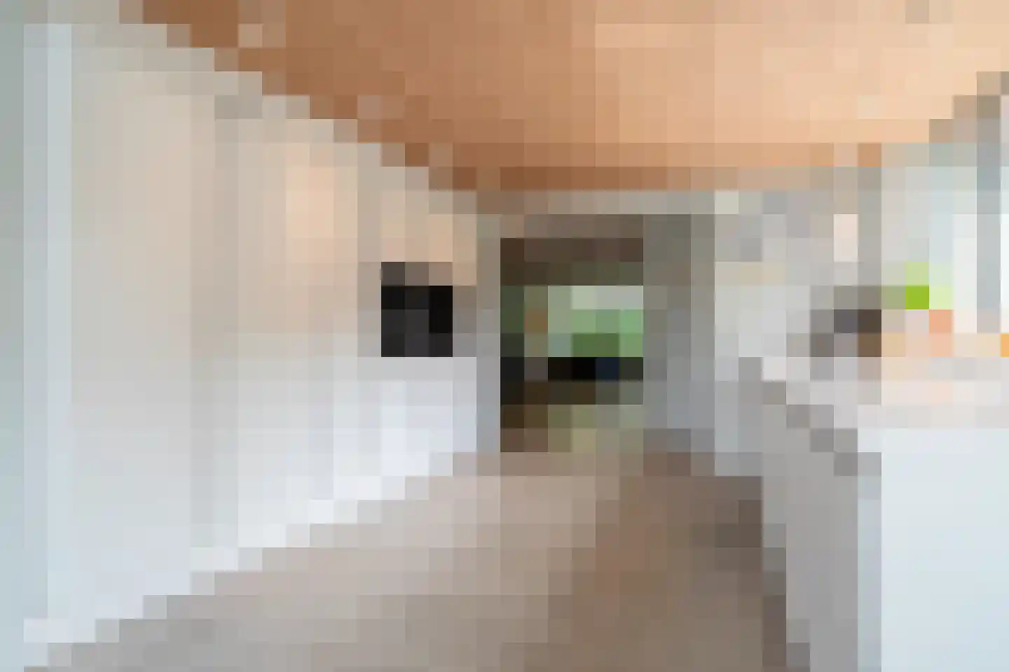 Van de Woestijnelaan 1 Groningen thumbnail 26