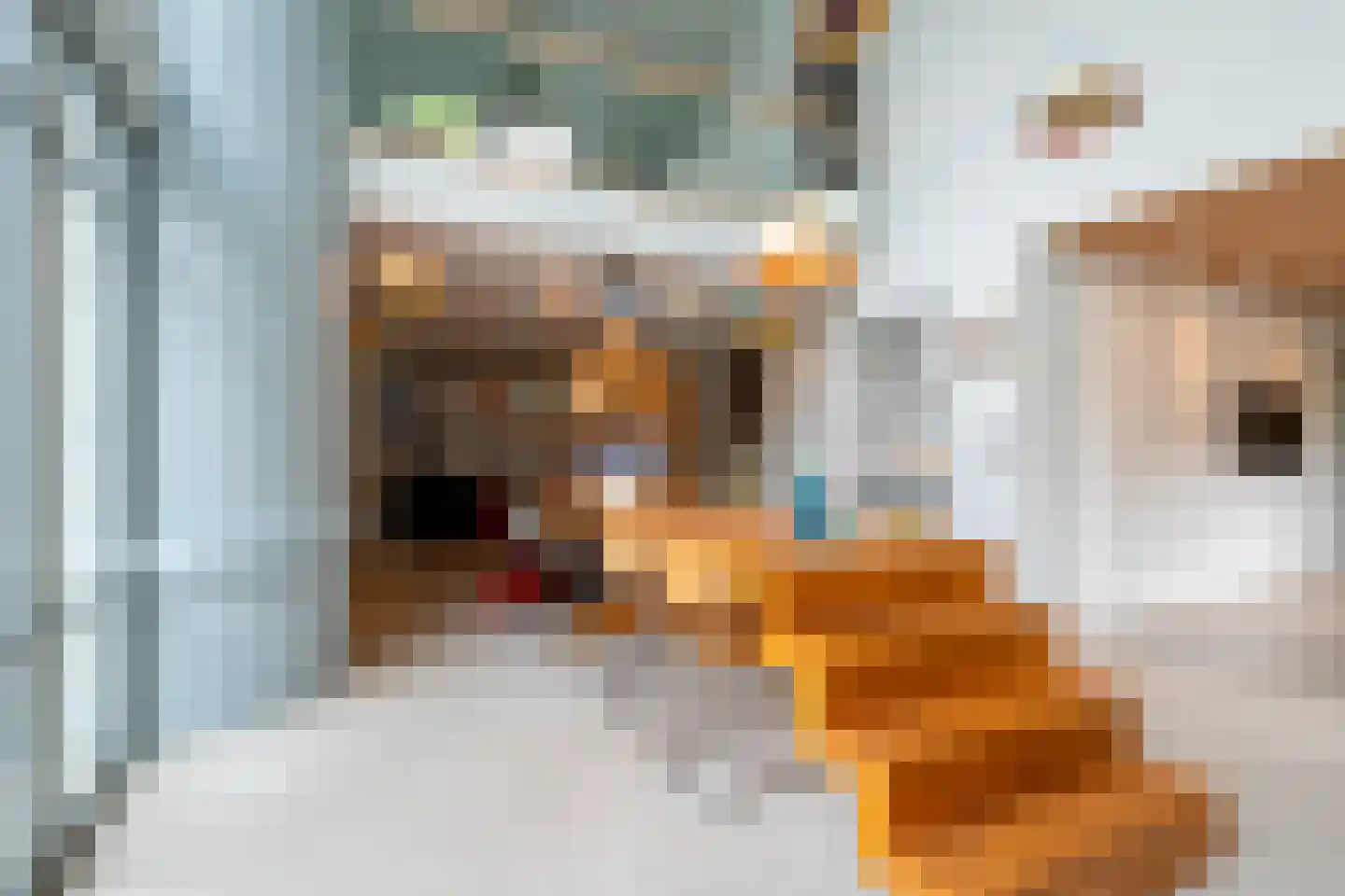 Van de Woestijnelaan 1 Groningen thumbnail 30