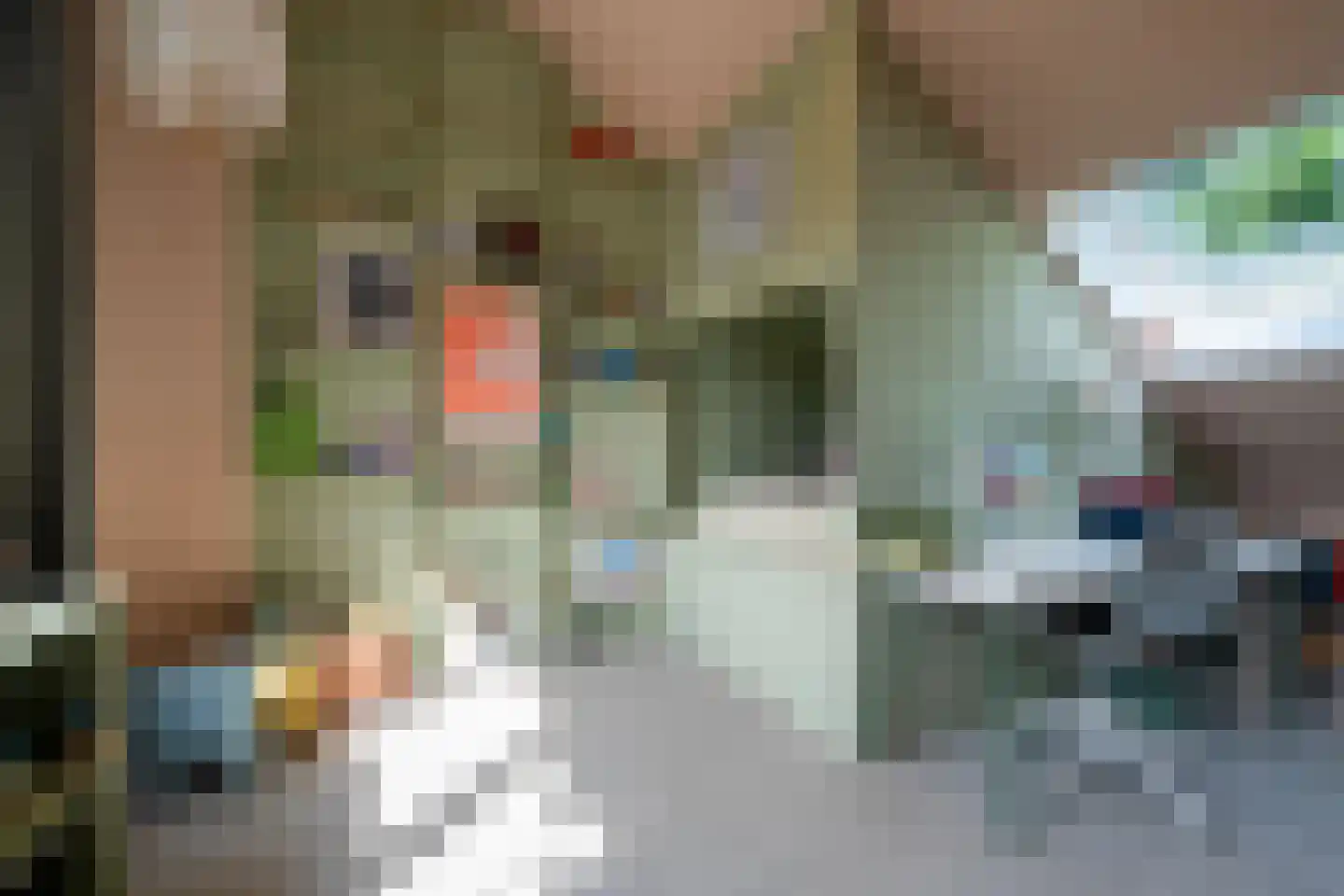 Van de Woestijnelaan 1 Groningen thumbnail 49
