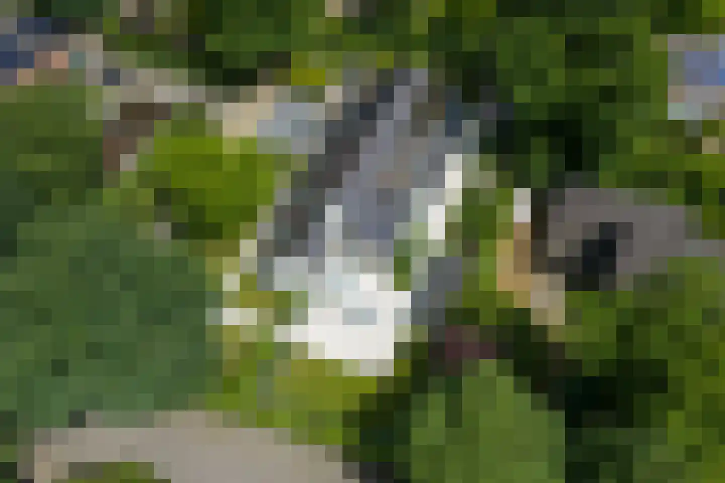 Van de Woestijnelaan 1 Groningen thumbnail 5