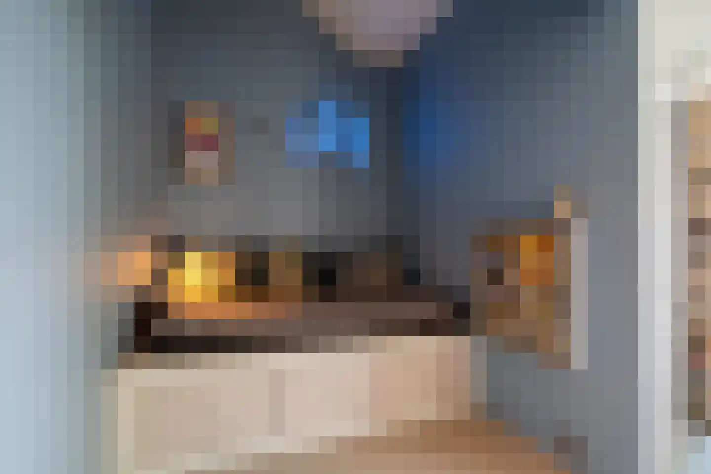 Van de Woestijnelaan 1 Groningen thumbnail 56