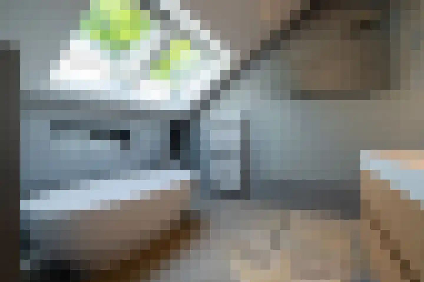 Van de Woestijnelaan 1 Groningen thumbnail 65