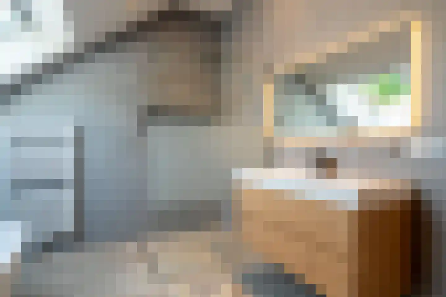 Van de Woestijnelaan 1 Groningen thumbnail 66