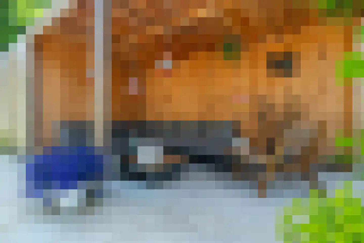 Van de Woestijnelaan 1 Groningen thumbnail 92