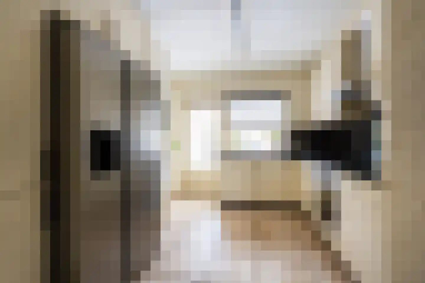 van de Zandestraat 2 Woensdrecht thumbnail 13