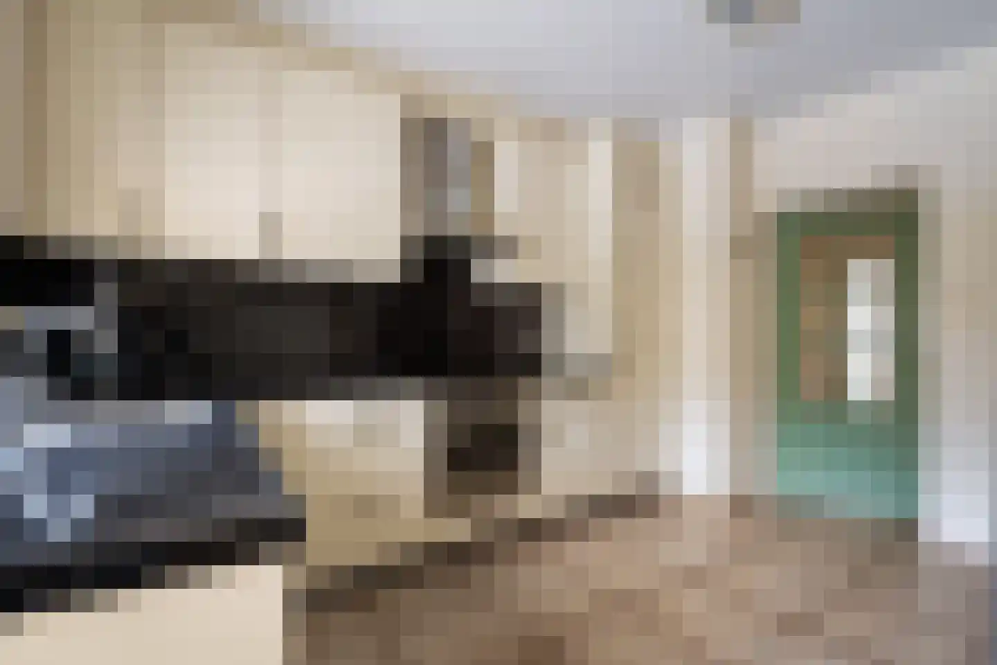 van de Zandestraat 2 Woensdrecht thumbnail 14