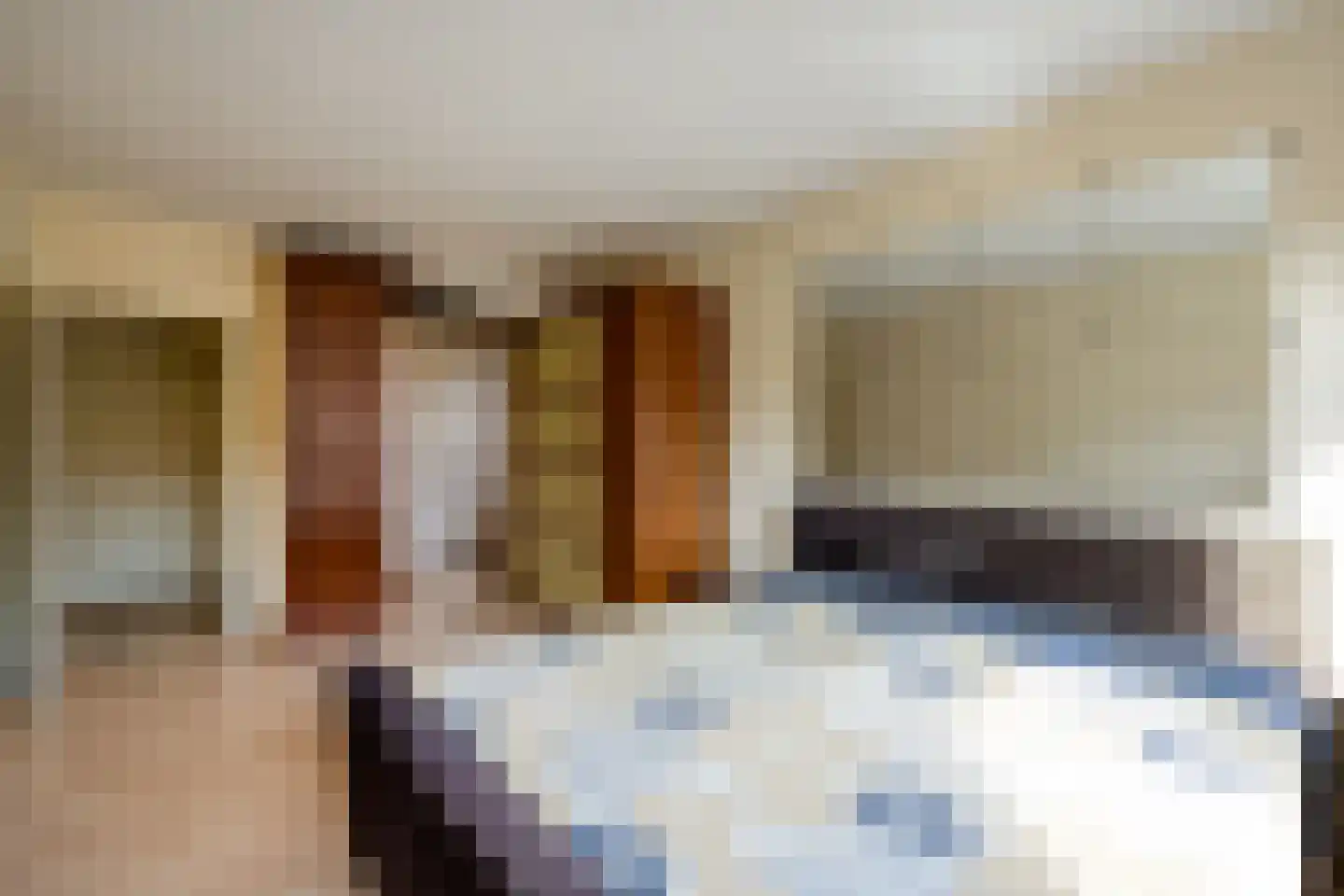 van de Zandestraat 2 Woensdrecht thumbnail 16