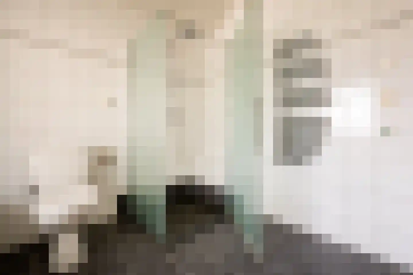 van de Zandestraat 2 Woensdrecht thumbnail 20