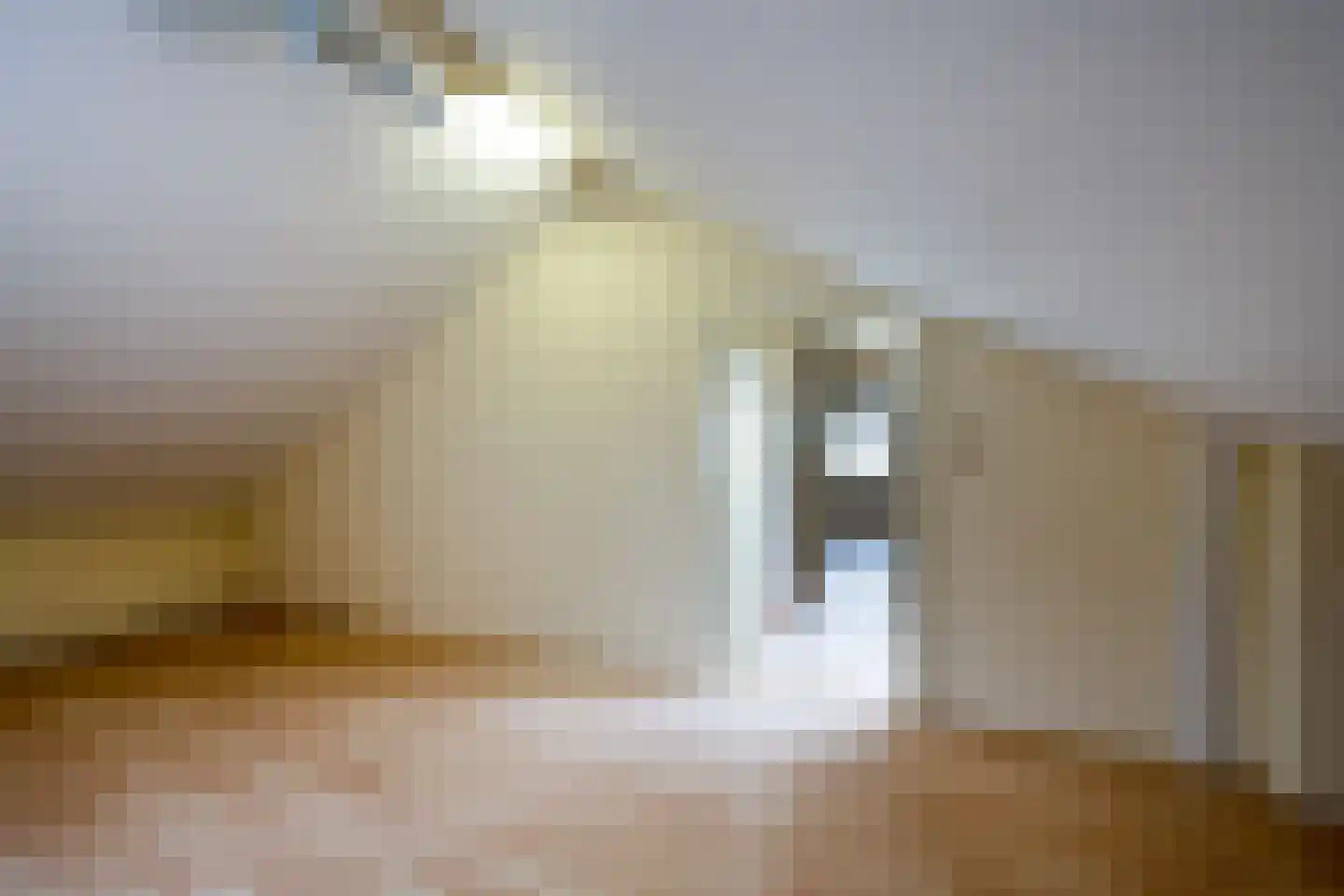 van de Zandestraat 2 Woensdrecht thumbnail 25