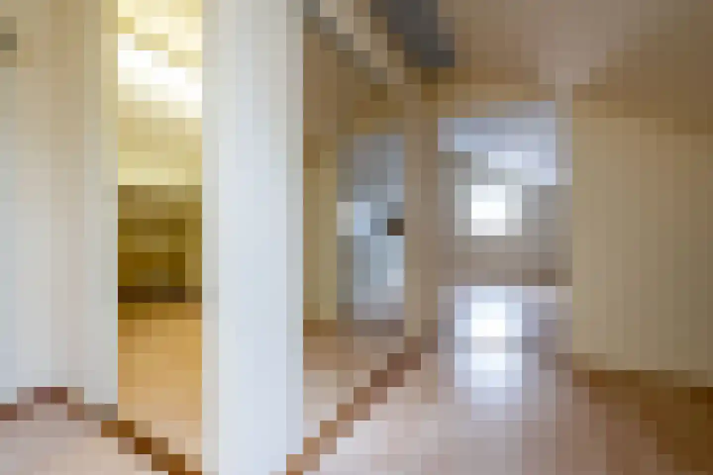 van de Zandestraat 2 Woensdrecht thumbnail 26