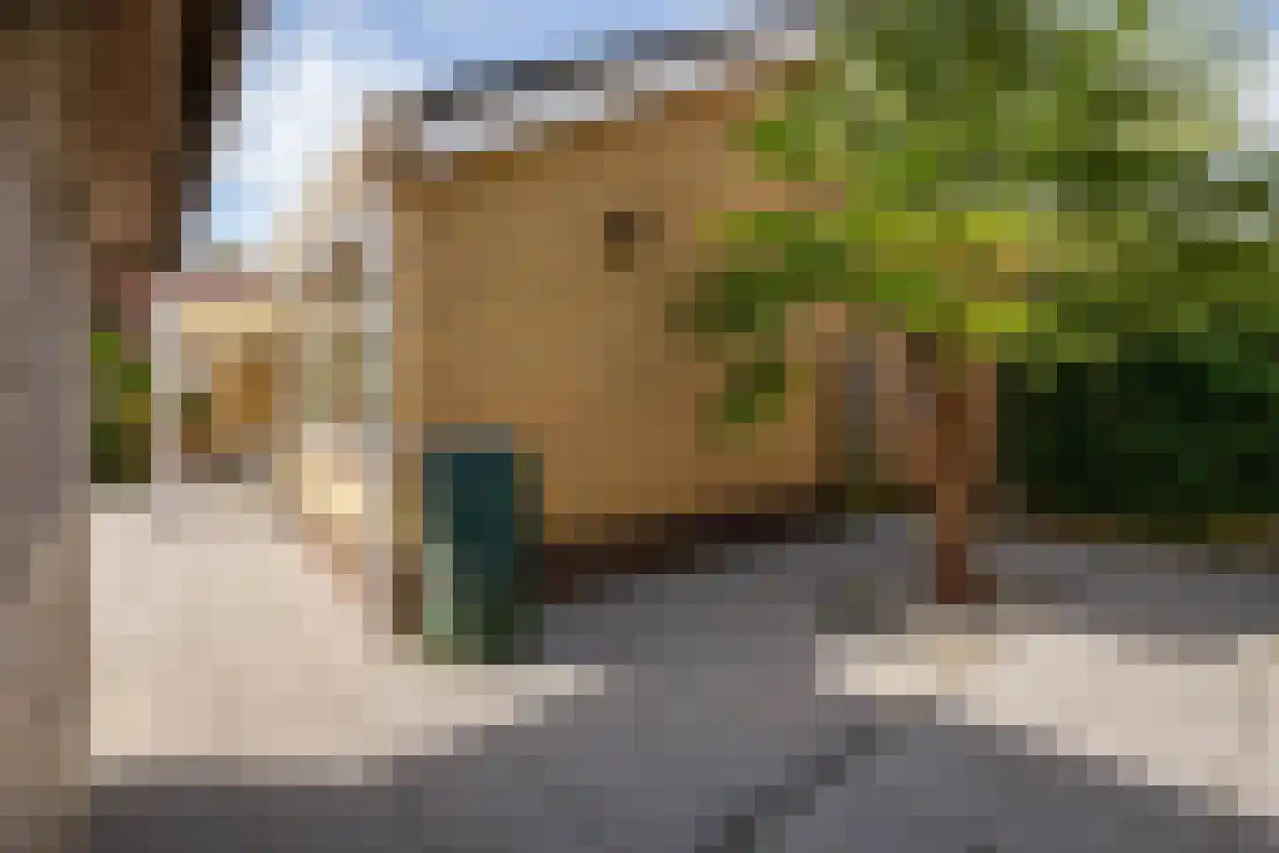 van de Zandestraat 2 Woensdrecht thumbnail 35