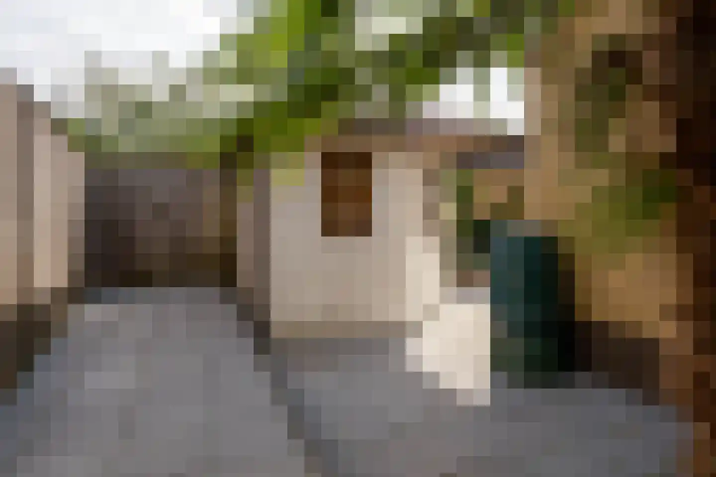 van de Zandestraat 2 Woensdrecht thumbnail 36