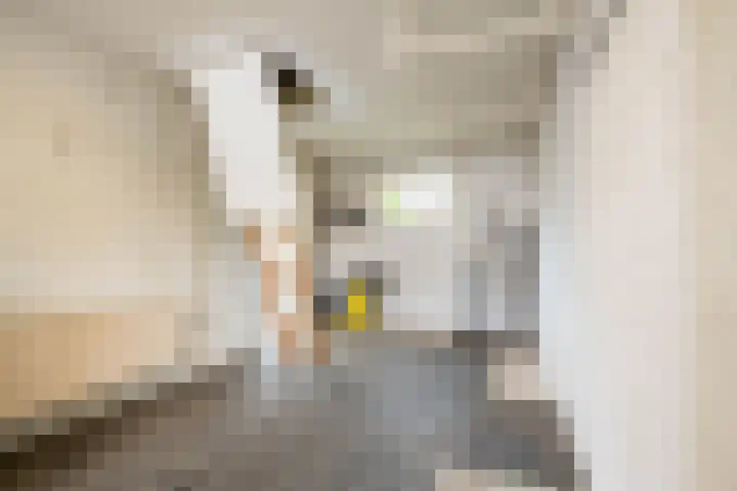 van de Zandestraat 2 Woensdrecht thumbnail 38