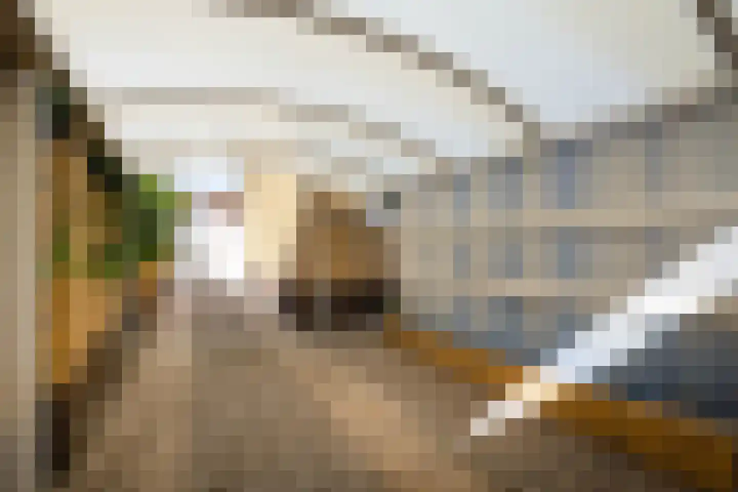 van de Zandestraat 2 Woensdrecht thumbnail 40