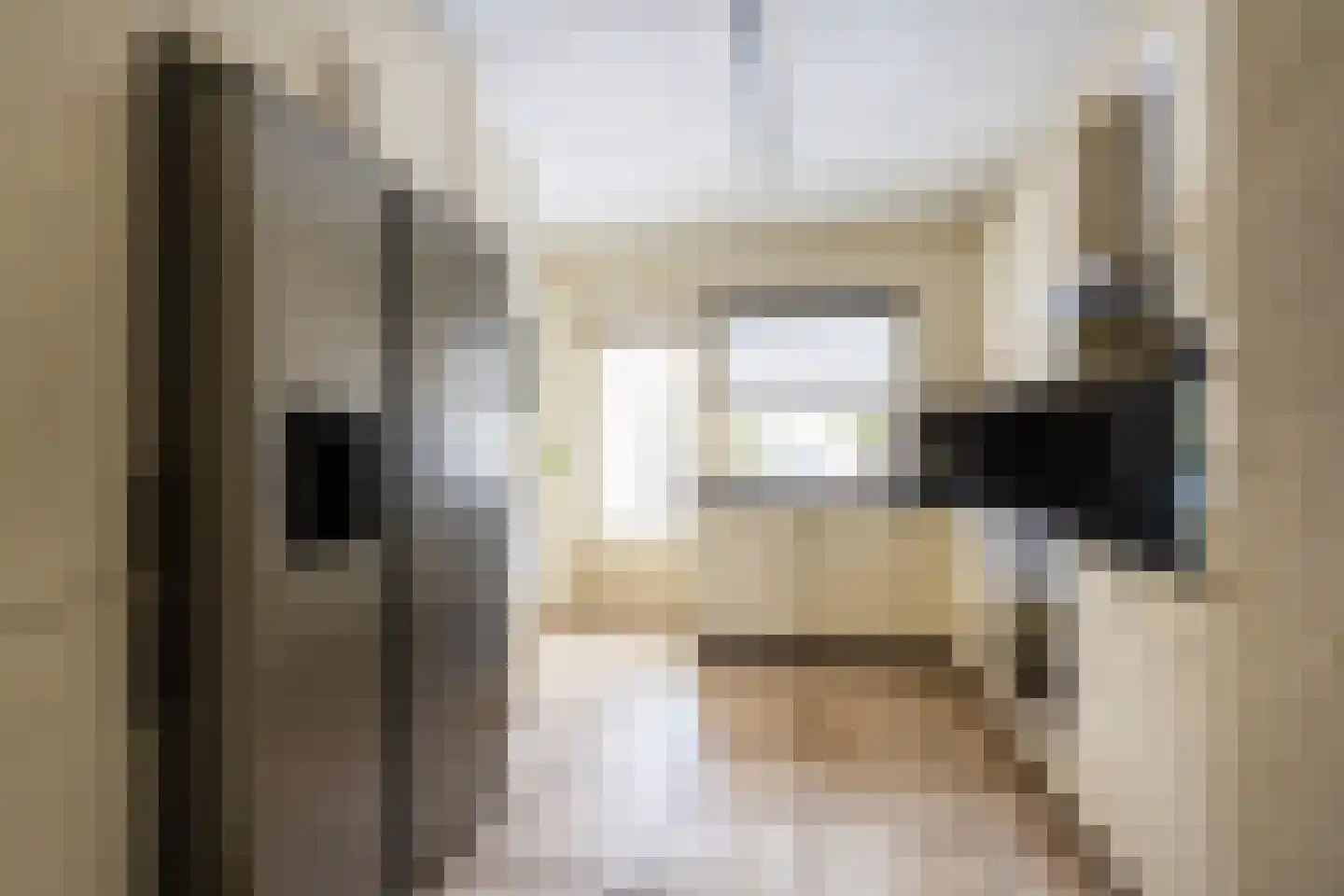 van de Zandestraat 2 Woensdrecht thumbnail 6