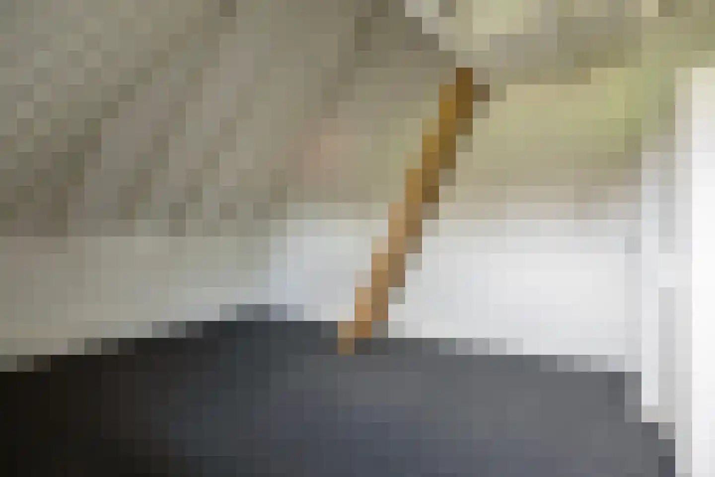 Van Dedemlaan 19 Barneveld thumbnail 36