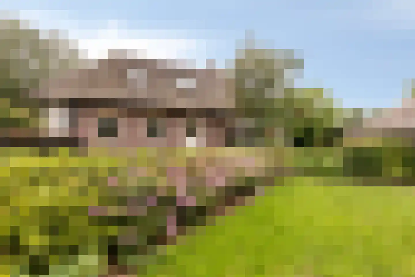 Van Dedemlaan 19 Barneveld thumbnail 4