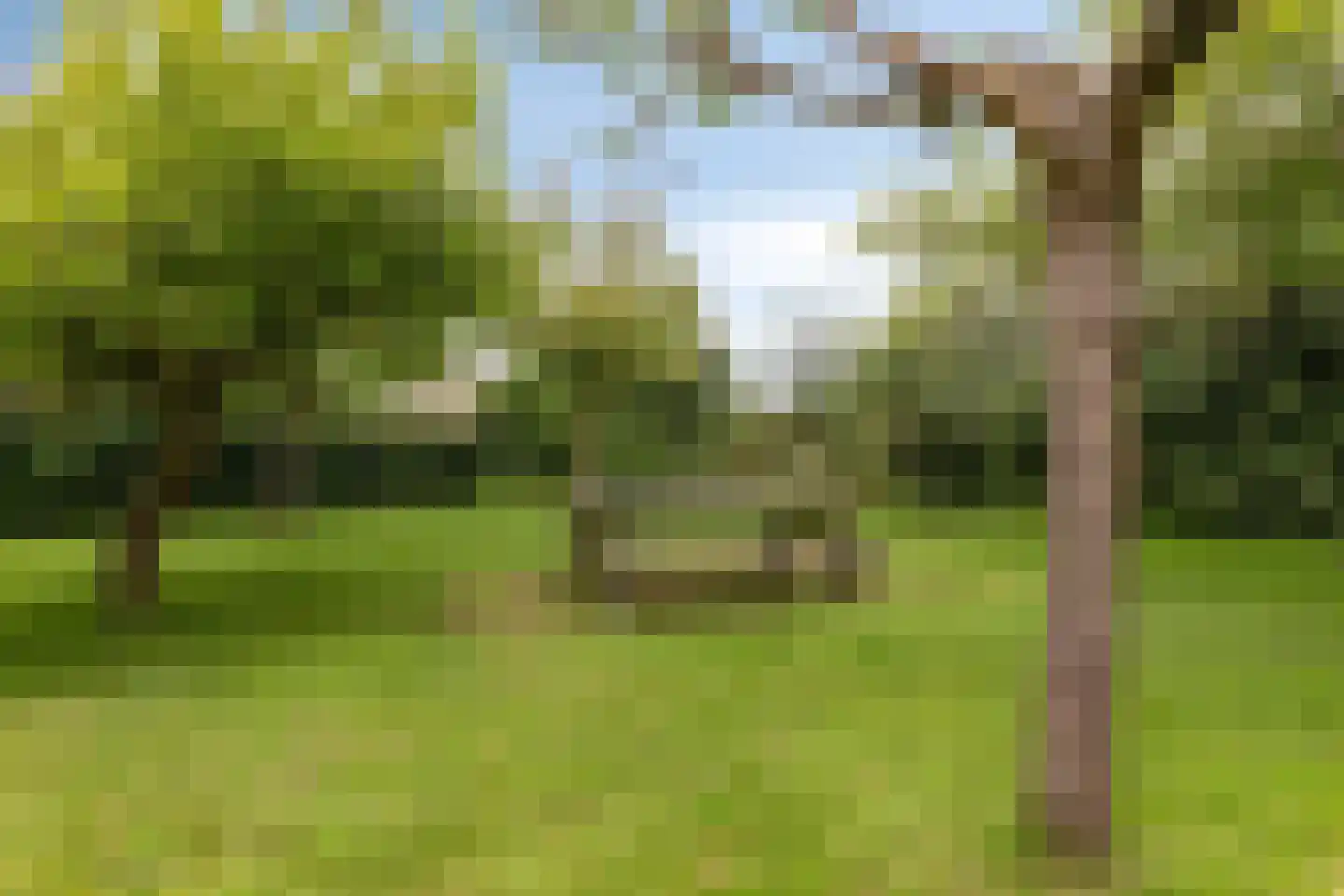 Van Dedemlaan 19 Barneveld thumbnail 5