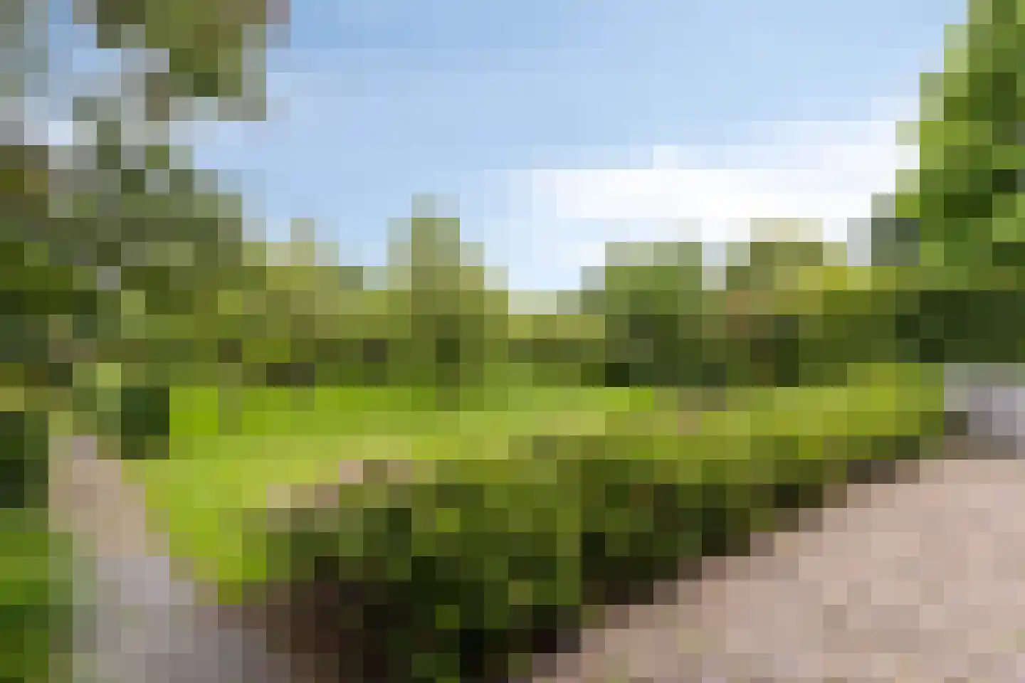 Van Dedemlaan 19 Barneveld thumbnail 51
