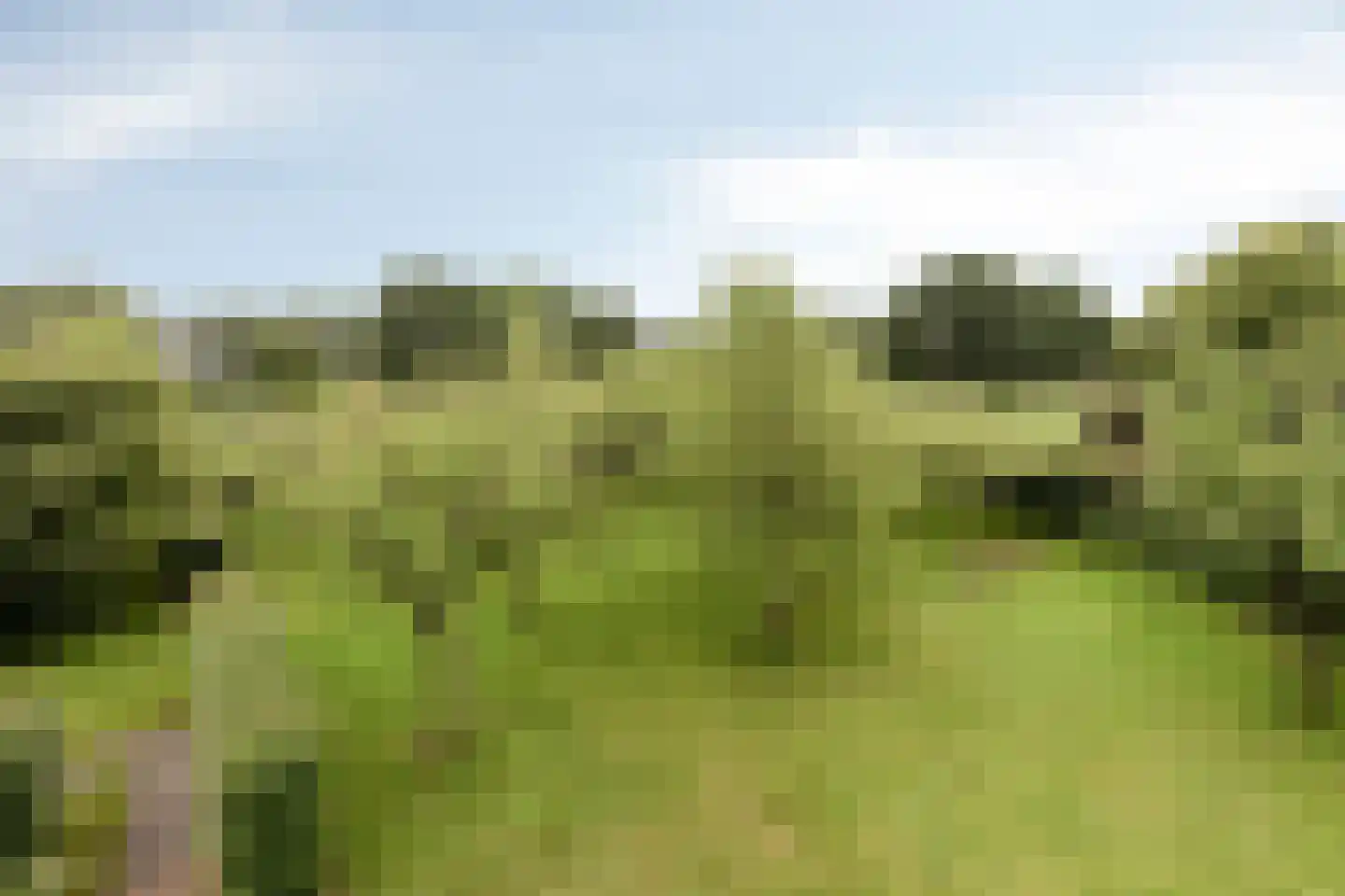 Van Dedemlaan 19 Barneveld thumbnail 52