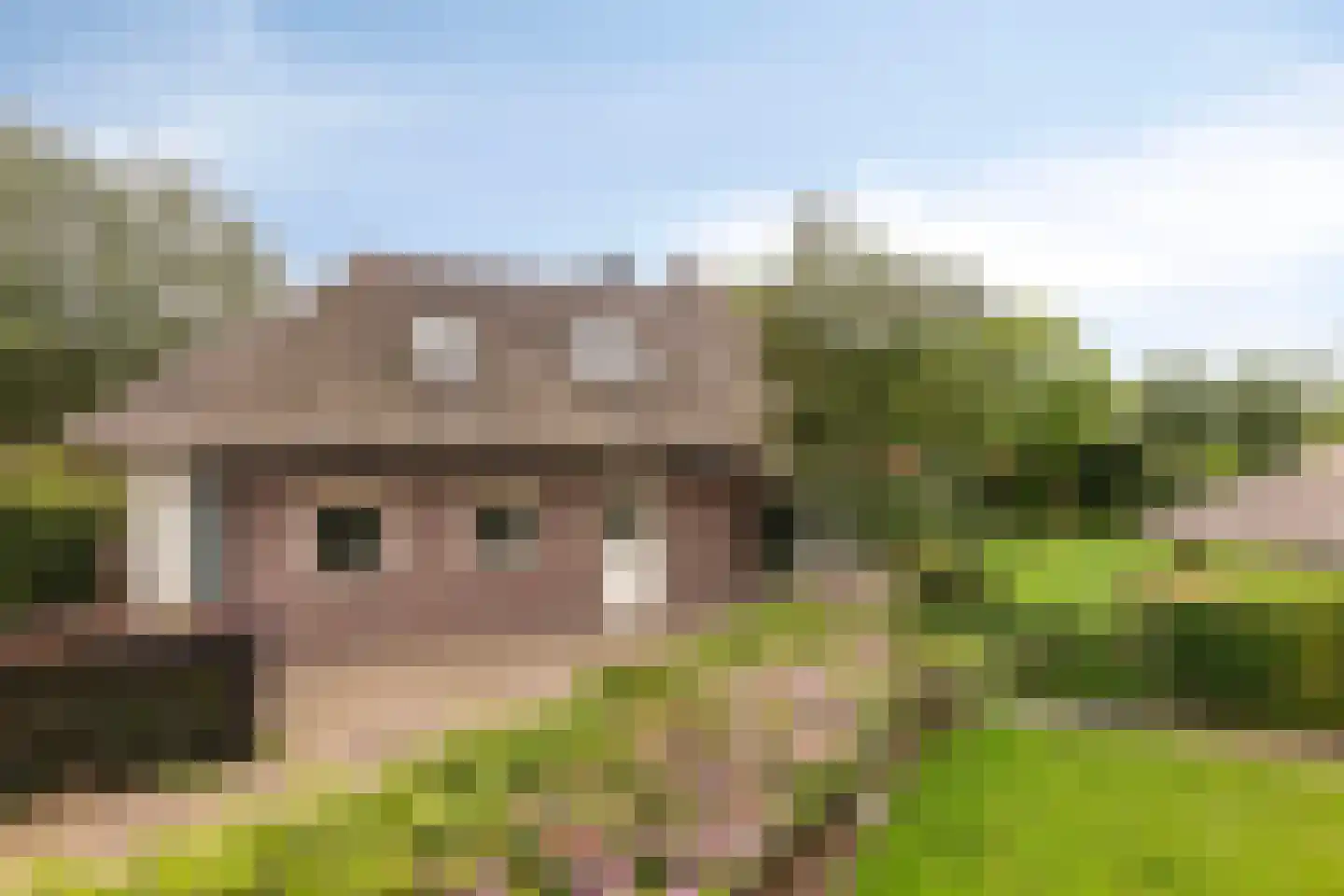Van Dedemlaan 19 Barneveld thumbnail 53