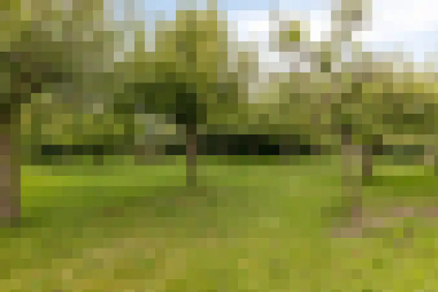 Van Dedemlaan 19 Barneveld thumbnail 54
