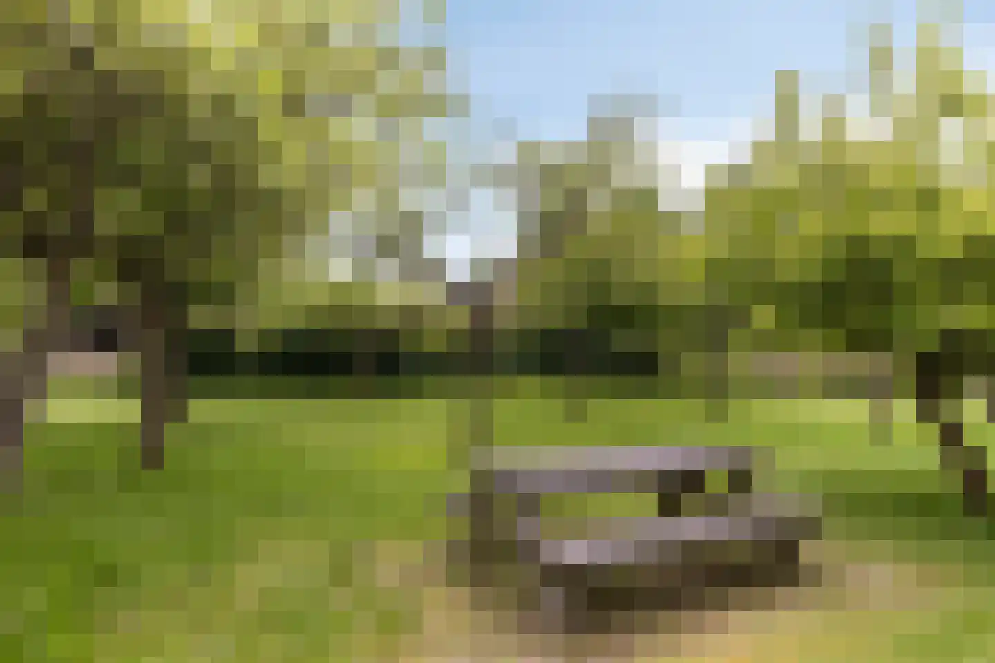Van Dedemlaan 19 Barneveld thumbnail 55