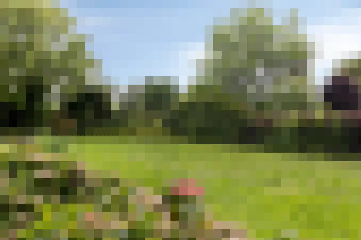 Van Dedemlaan 19 Barneveld thumbnail 57